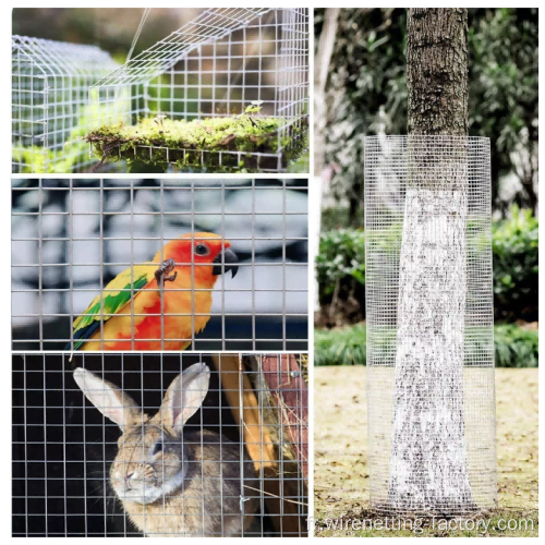 2x2 GALVANISED WIRE MAIL POUR LA CAGE DE LABBIT